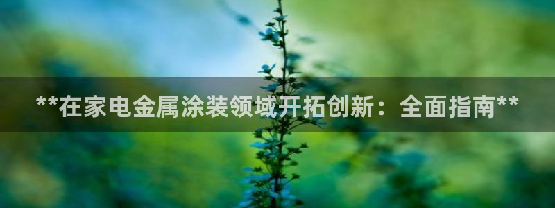 美高梅是谁的资产