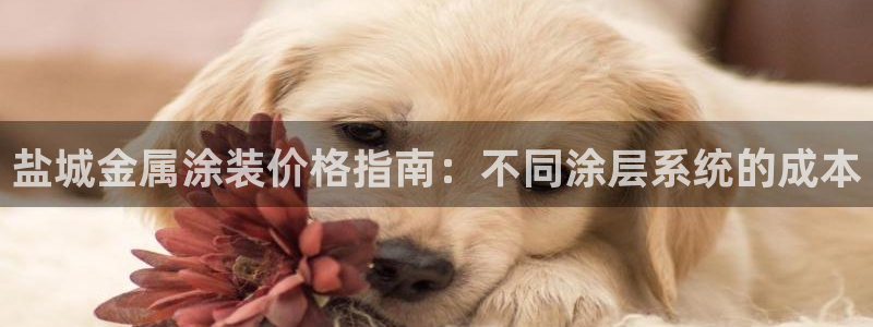 美高梅平台钱取不出来
