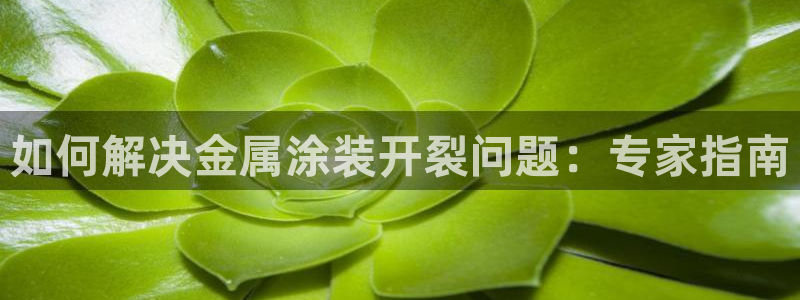 鲁能钓鱼台美高梅公馆别墅