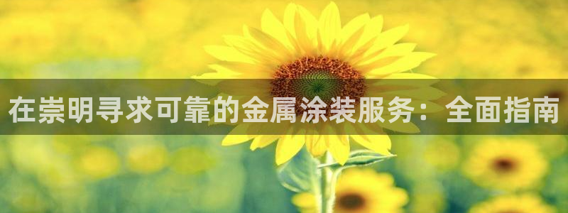 美高梅现金网
