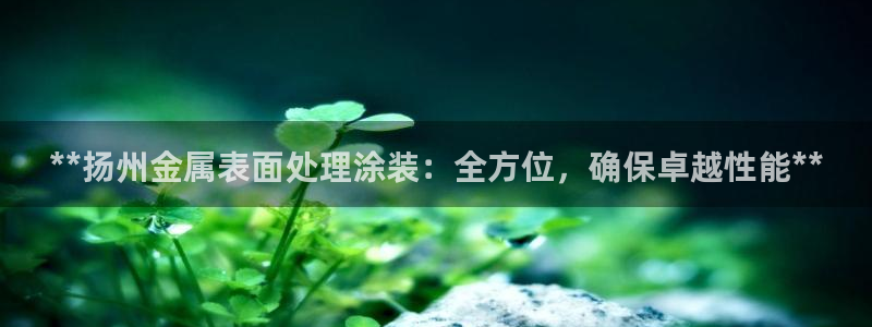 美高梅公司发展历程