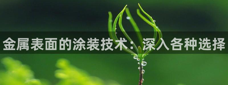 美高梅国际酒店集团介绍