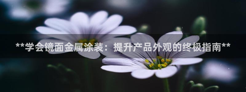 美高梅会员卡打折吗