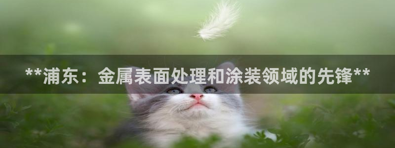 美高梅酒店可以抽烟吗