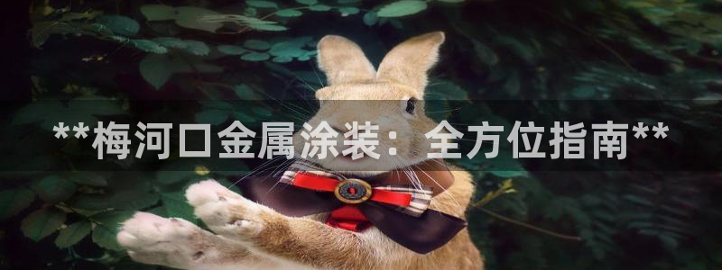三亚美高梅酒店老板是谁