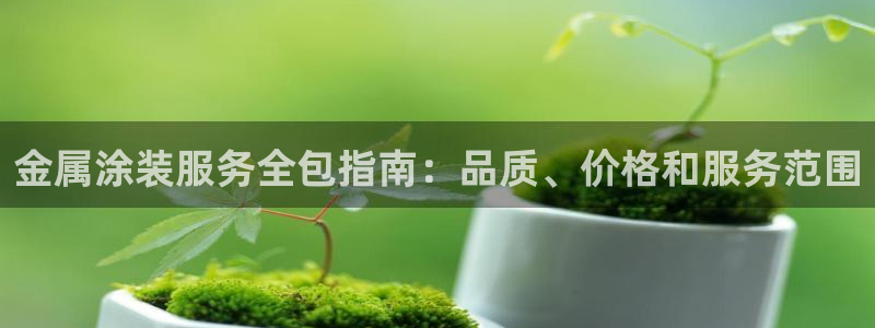 美高梅酒店哪年建成