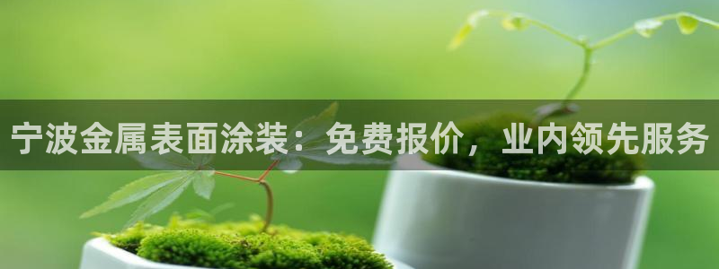 美高梅酒店自助