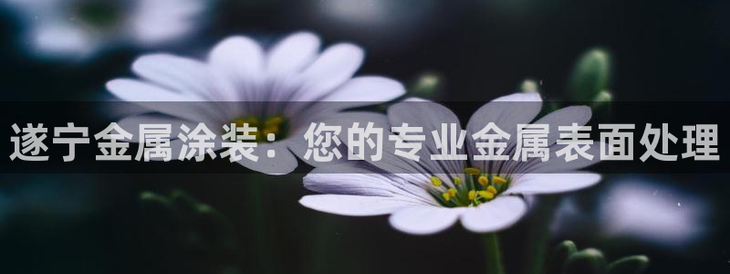 美高梅度假酒店怎么样