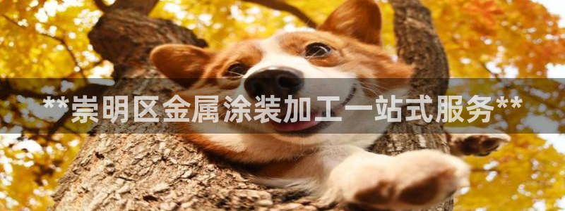 美高梅股票