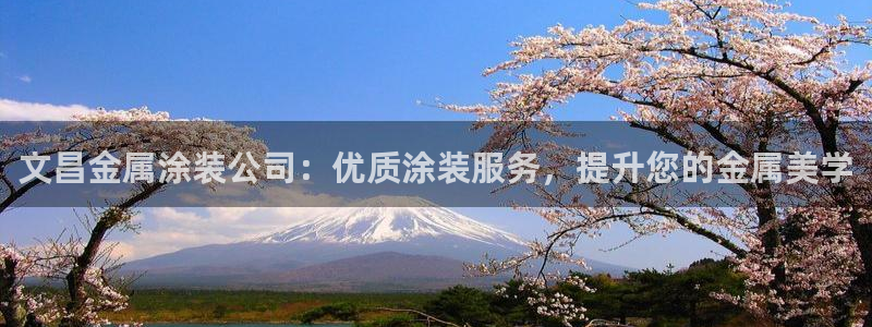 美高梅百款游戏