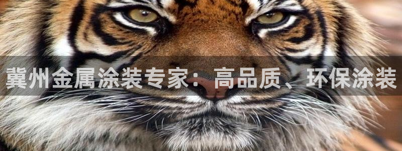美高梅大酒店哪些省份有