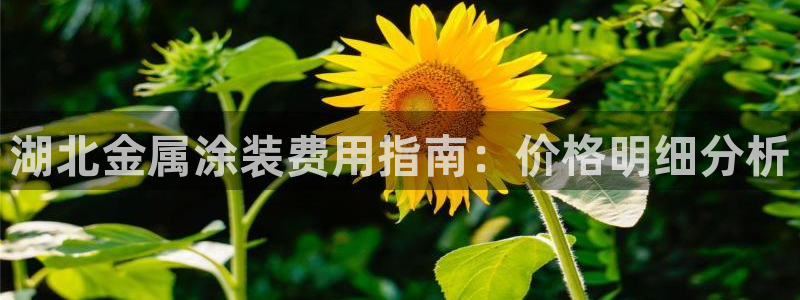 美高梅儿童托管收费吗怎么收费
