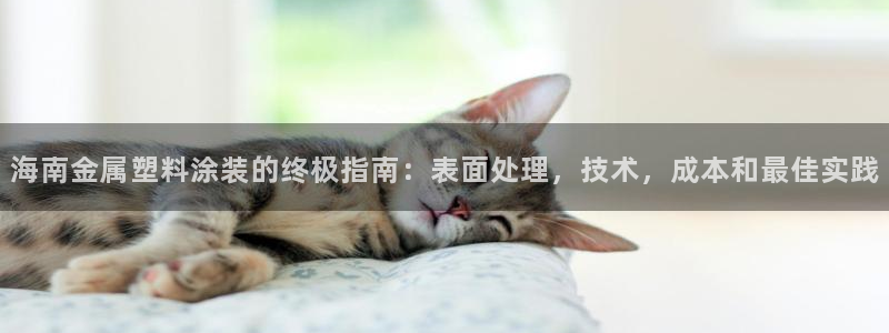 美高梅的老板