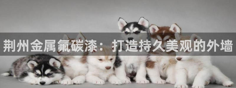 美高梅广场房价会涨吗