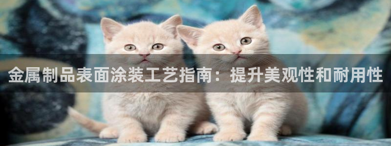 美高梅是哪个国家的连锁酒店