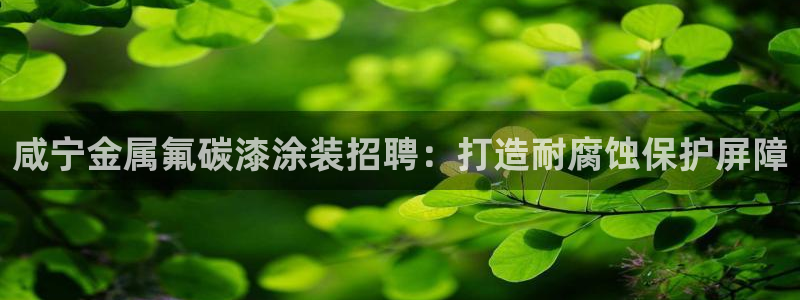 何超琼美高梅持股