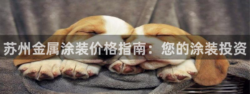 美高梅控股有限公司是国企吗