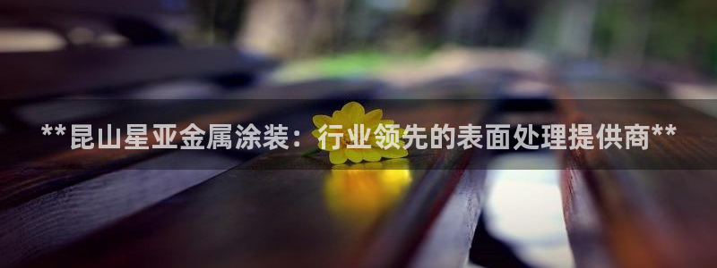 美高梅美狮酒店介绍