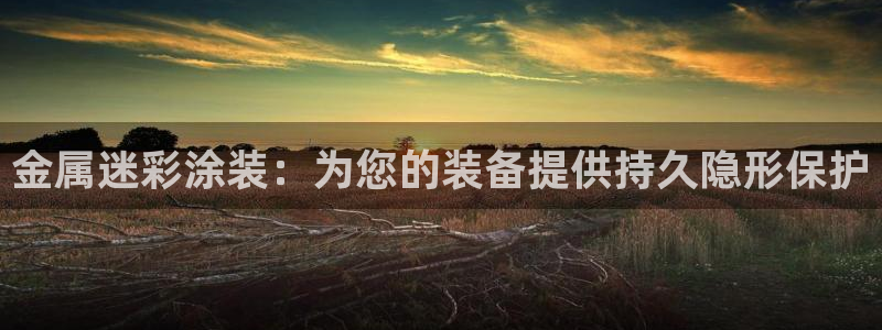 美高梅公司的社会信用代码查询