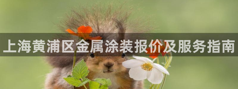 美高梅是何超琼的吗?