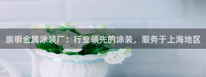 美高梅游戏官网app可以玩吗