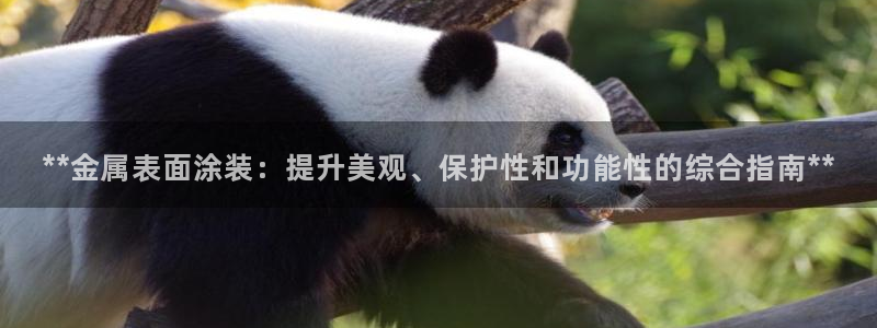 美狮美高梅酒店是几星级