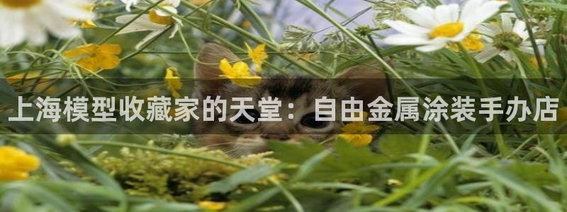 美狮美高梅有什么品牌