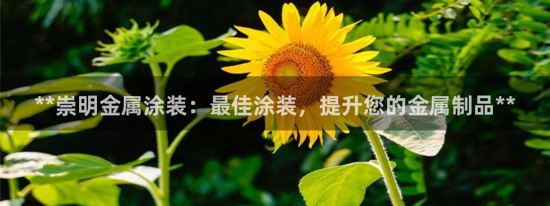鲁能美高梅别墅物业费