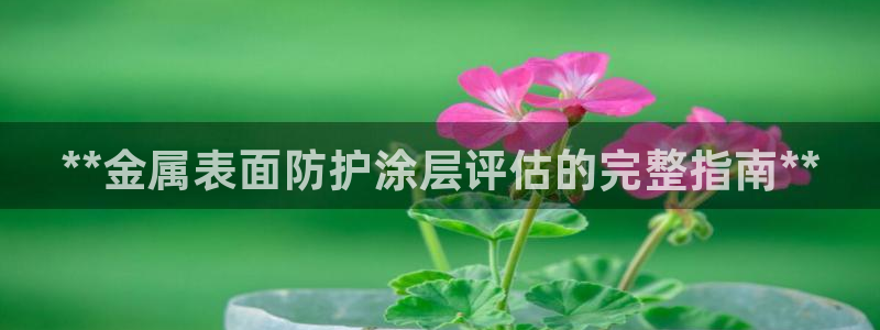 美狮美高梅酒店客房多少间