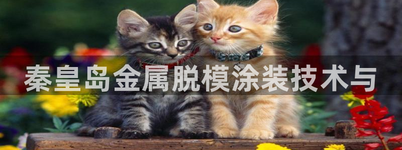 美高梅会员卡级别介绍