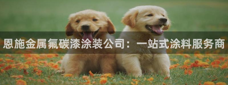 美高梅酒店可以带走的东西