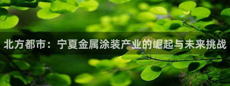 美高梅现在由谁在经营