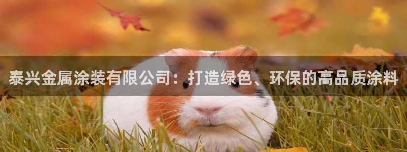 美高梅酒店发展历史