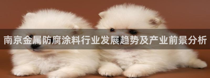 美高梅公司怎么样