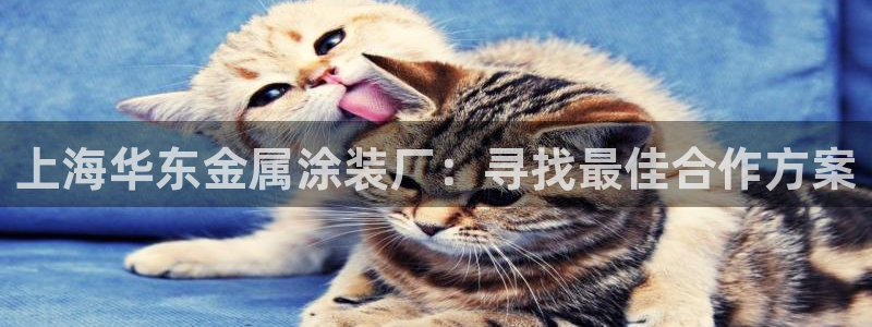 美高梅酒店管理有限公司