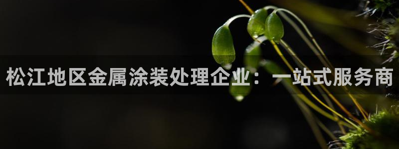 美高梅音乐会公开售票吗
