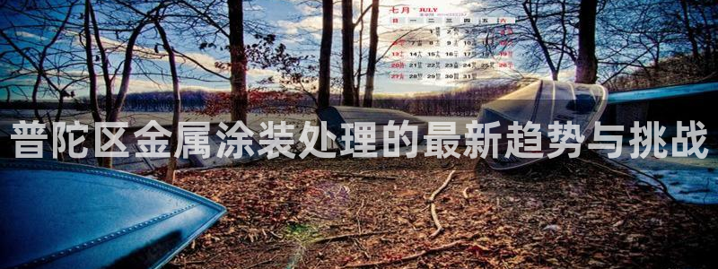 美高梅酒店哪个国家：普陀区金属涂装处理的