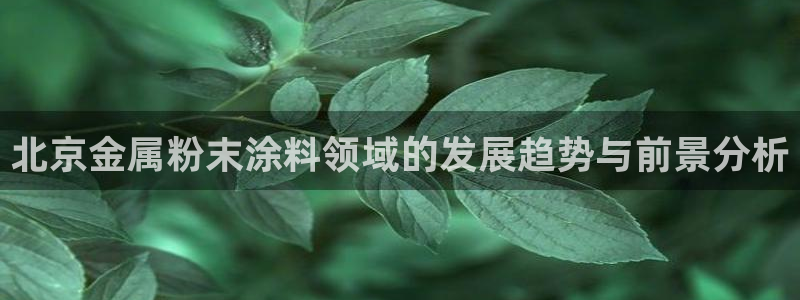 美高梅1000万筹码图片