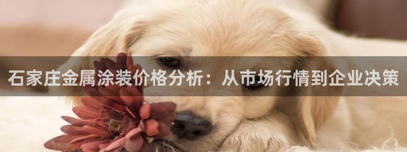 美狮美高梅淳餐厅