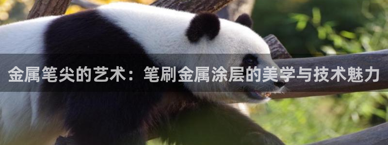 美高梅是谁的?