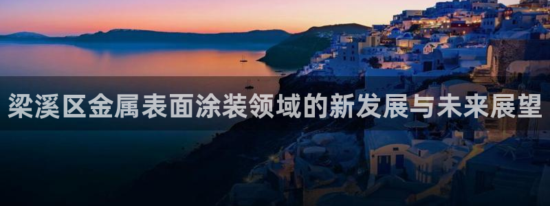 美高梅空气炸锅怎么样