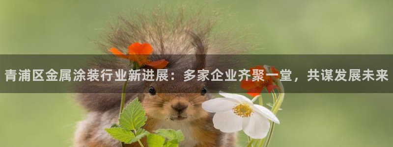 美高梅会员卡用途