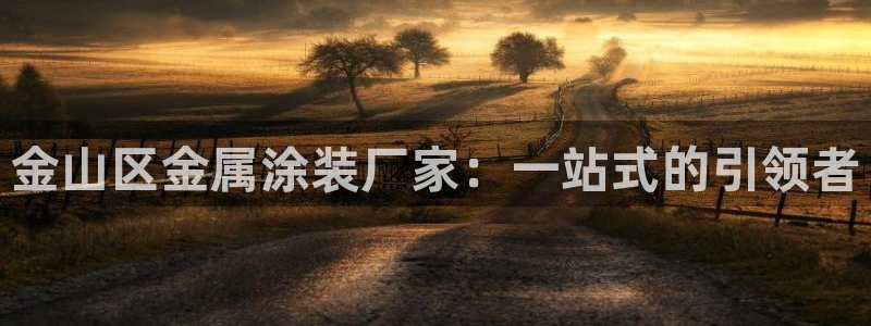 美狮美高梅酒店麦当劳有没有奶茶
