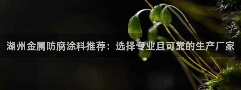 美高梅游戏官网app可以玩吗安全吗