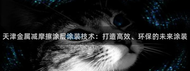 美高梅集团介绍