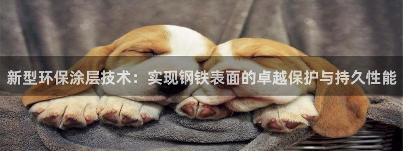 美高梅集团介绍