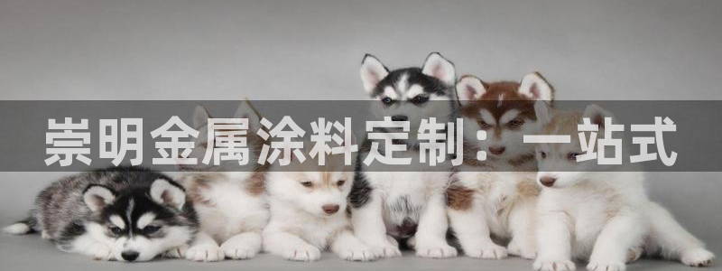 美高梅穿梭巴士免费吗
