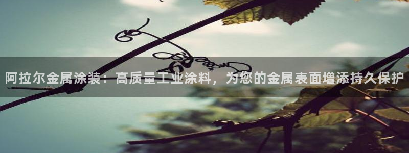 三亚美高梅酒店是哪个集团