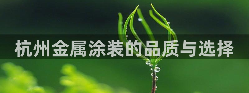 美高梅会员等级怎么看