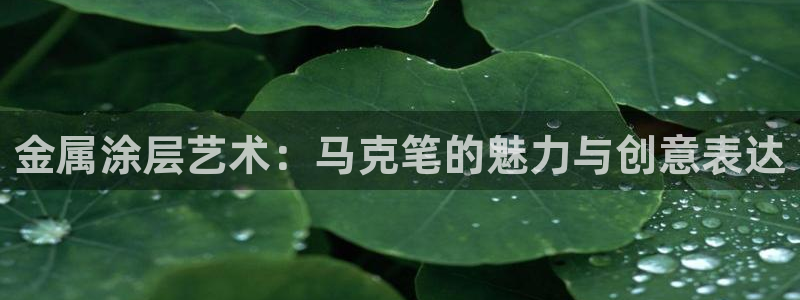 三亚美高梅度假酒店是何超琼的吗